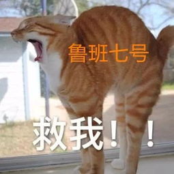大后期谁最好秒鲁班不是猴子,不是妲己,大神都知道他