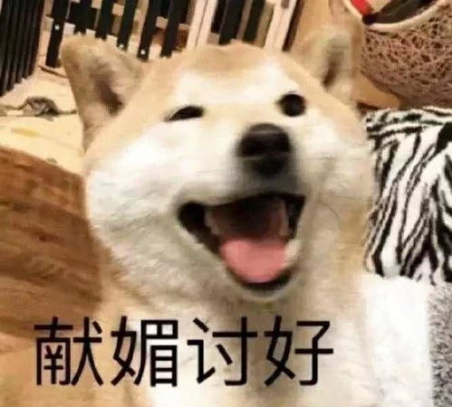 求和女朋友聊天的表情包