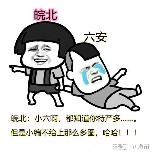 安徽各地特产,看看有没有自己的家乡皖北和皖中
