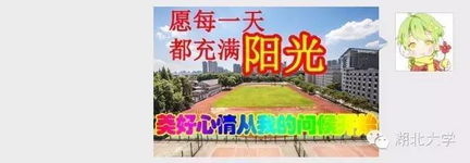 成年人专属表情包gif