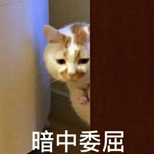 收集到的生气的表情包快来拿走嘻嘻嘻