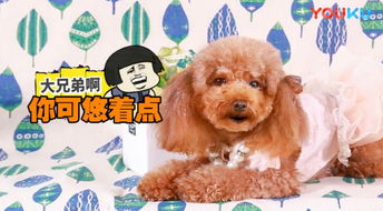 这才是真的吃货,带刺仙人掌都不怕