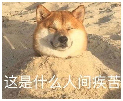 狗头的表情包什么意思焦磷酸