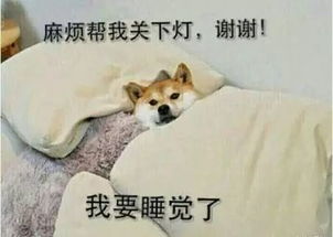 原来睡太多也不行