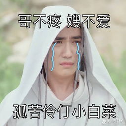 面面为什么恨沈巍