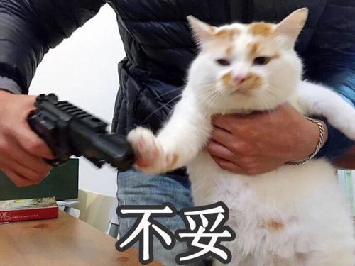 一图看全公司合伙企业个人独资企业和个体工商户的分类和区别