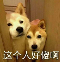有毒请小心吃了这种东西竟会有这种严重后果.......