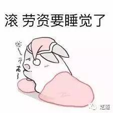 小仓鼠恋爱