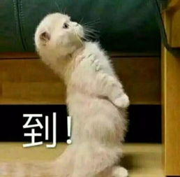 你为什么不愿意在朋友圈发自拍