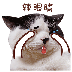 麦粒酥微信表情真猫版上架啦