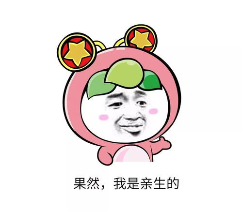 不要和爸妈发表情包了我认输,真心的