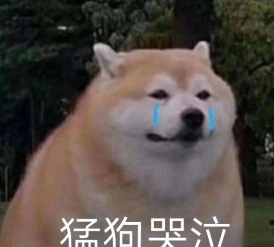 这都是什么迷惑行为