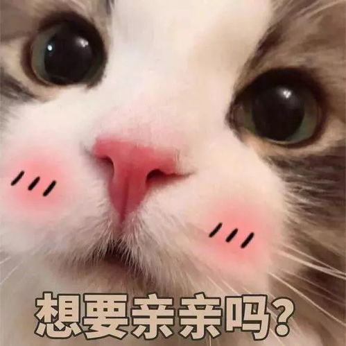 我不管,你就是要宠着我