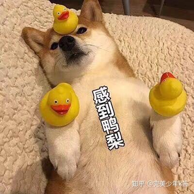 口腔医学技术去厂里做事的前途怎么样