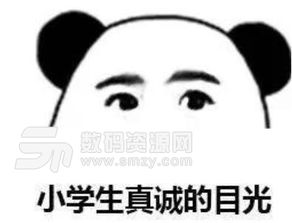 蘑菇头真诚的眼神表情包大全小学生真诚的目光眼神表情包下载最新版