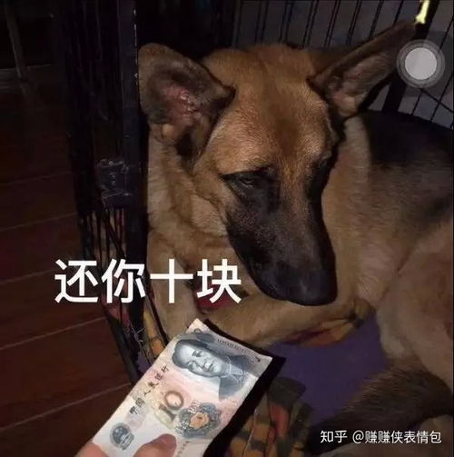 污污表情包图片妙啊,准备好,我要开始作了
