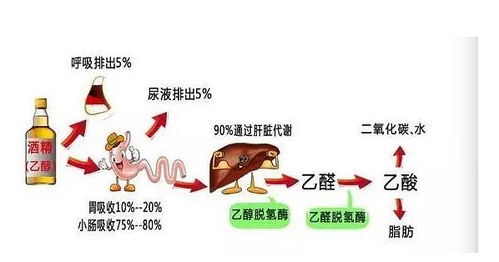 满脸痘痘能敷面膜,面膜真的能祛痘和痘印吗