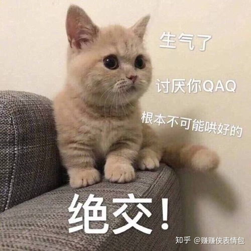 搞笑表情包图片生气了,绝交,这次不可能哄好的