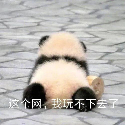 32岁妈妈生子有望奖励5个亿,这福气我也想拥有笑着笑着就哭了