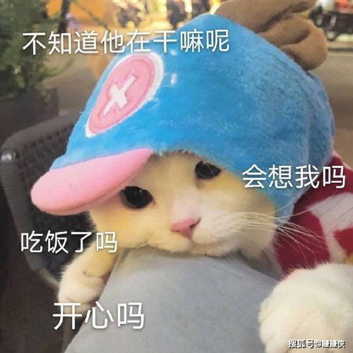 最新表情包图片明明发了朋友圈,为什么却不回我消息