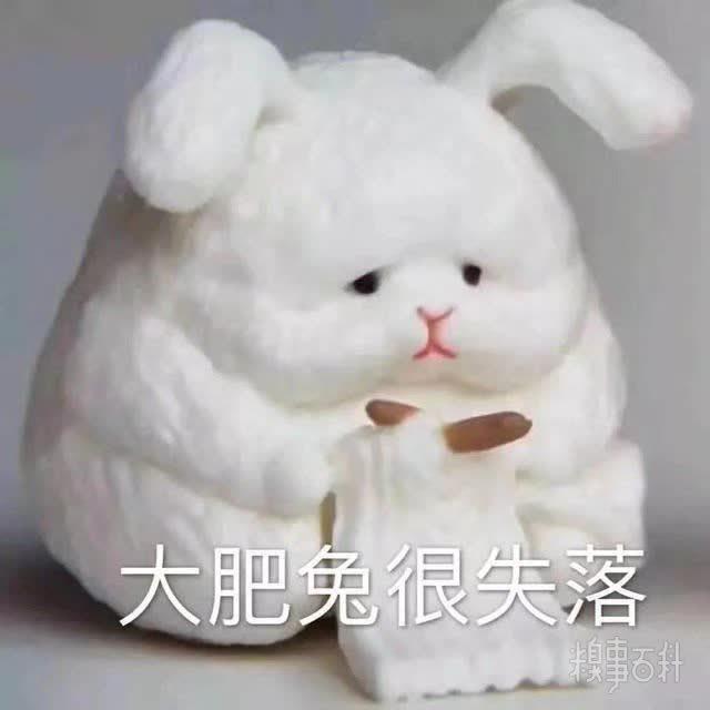 今日沙雕小表情包大肥兔很失落