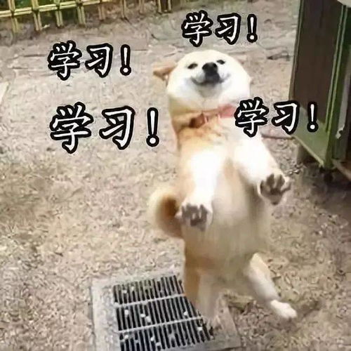 汽车冷却液用水能代替小心这样做会毁车