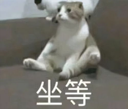 养生还是致癌揭秘藏药药王石的神秘面纱