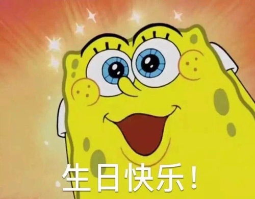 收藏夹