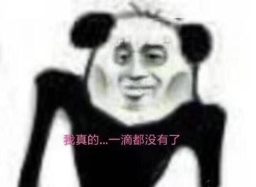 那你养我呀表情包轻松一刻