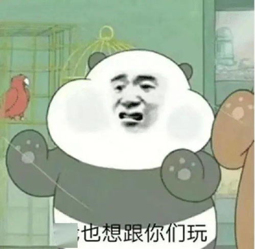 女人只会影响我拔剑的速度来评论聊天啦