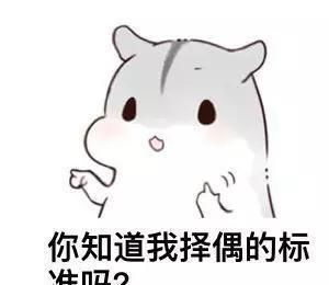 幽默冷笑话择偶这个词,太过于奢侈