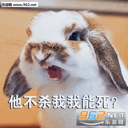 滑稽兔子表情包