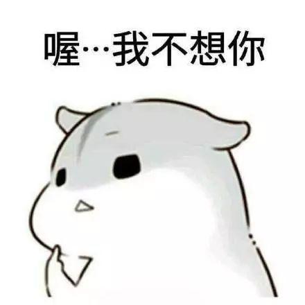 小仓鼠恋爱