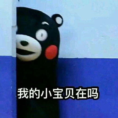 有哪些适用于和女生聊天开场白的表情包