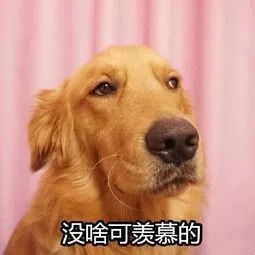 广大竟然上榜广东十大垃圾学校