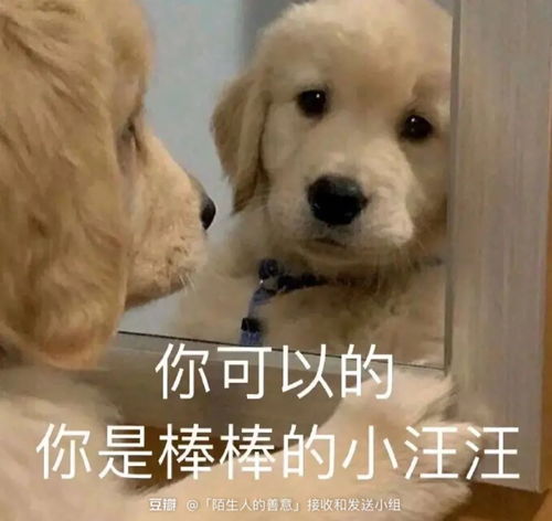 哪有什么取代翻译的人工智能,不过是译审在负重前行