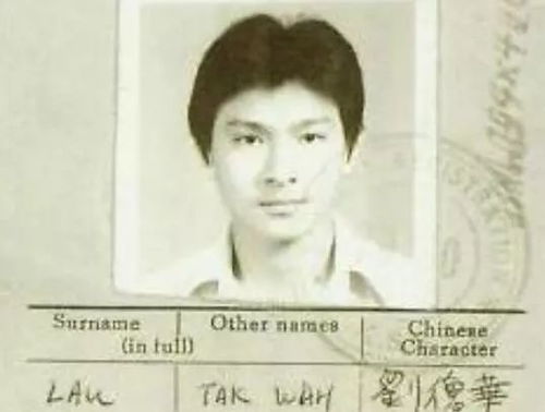 致晒照片的你们永远有人在老去,永远有人18岁
