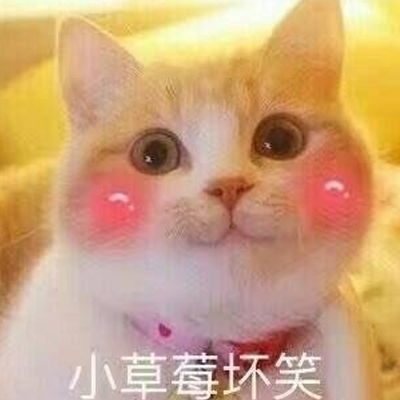 qq微信表情微信动态符号表情微信表情图片大全腾牛个性网