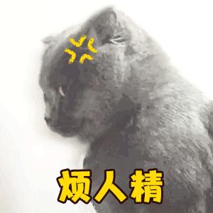 精选萌宠gif表情包做个孤独的舔狗,弱小可怜且无助