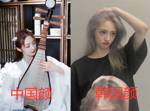 搞笑gif趣图大家快来学习一下,这就是我在家的地位,你们说如何