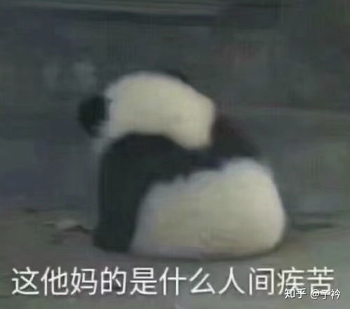 作为憨憨是一种什么体验