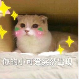 出来聊天吹牛表情包小可爱