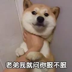 最近热门表情包你怎么回事小老弟你怎么回事小老妹
