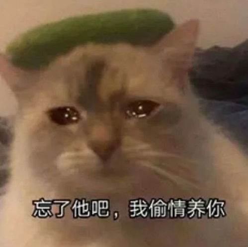 微信热门表情包图片我哪敢说话