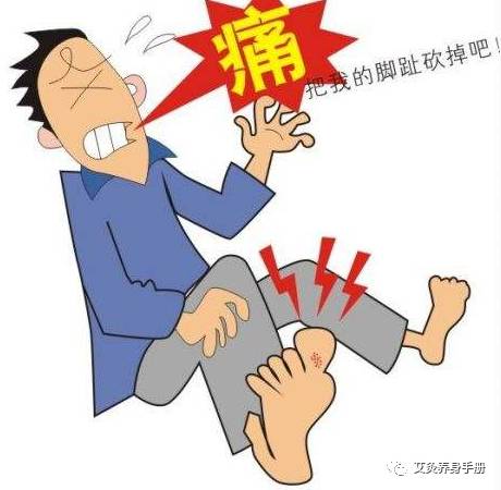 小小艾草治大病,艾灸治痛风,痛风患者的福音