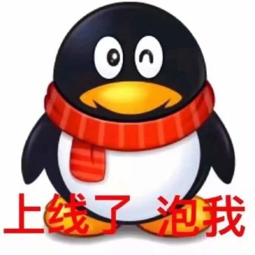 表情搞笑的表情包野心是你和天下腾讯网qq.com表情