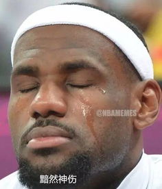 nba斗图表情包詹姆斯