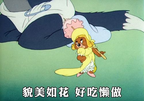 好羡慕你呀,可以拥有我这样的女朋友表情包艾特你想艾特的人