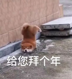 银行人是怎么过春节的笑喷