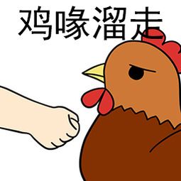 给长颈鹿喂钱土豪真会玩每日轻松一刻4月17日晚间版